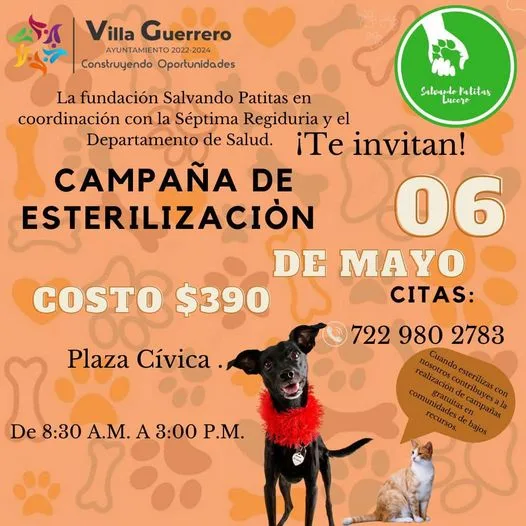 1683129409 Al esterilizar disminuimos el numero de perros y gatos en jpg