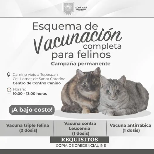 1683136608 La salud de tus mascotas tambien es importante Manten completo jpg