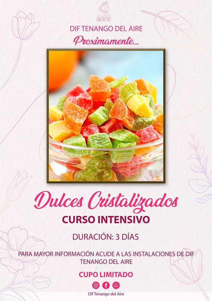 1683144677 935 Te dejamos los deliciosos cursos intensivos que tendremos en DIF