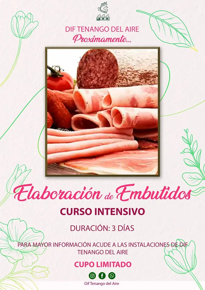 1683144722 Te dejamos los deliciosos cursos intensivos que tendremos en DIF jpg