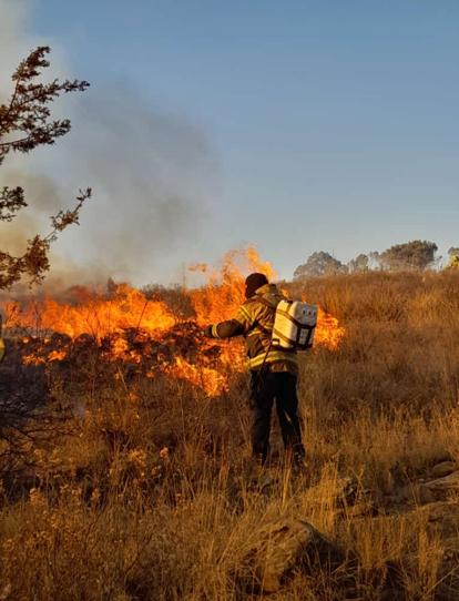 1683223941 340 Hoy es el Dia Internacional del Combatiente Forestal una fecha