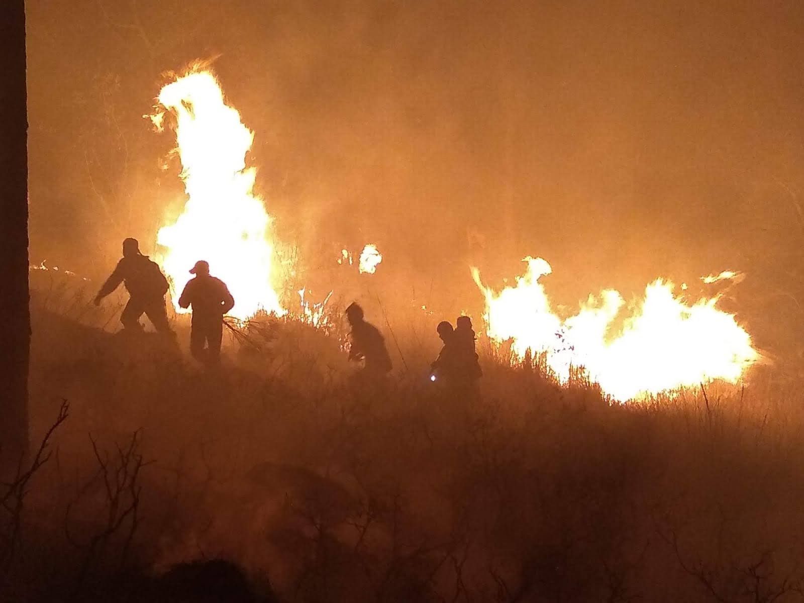 1683223947 207 Hoy es el Dia Internacional del Combatiente Forestal una fecha