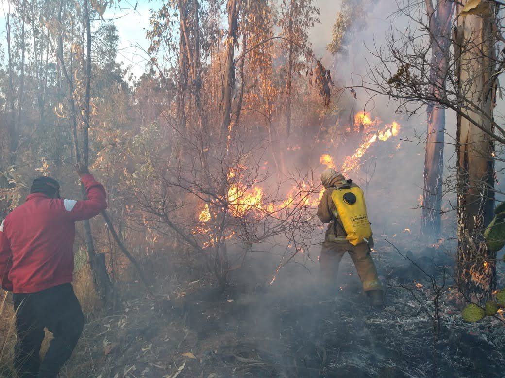 1683223953 36 Hoy es el Dia Internacional del Combatiente Forestal una fecha