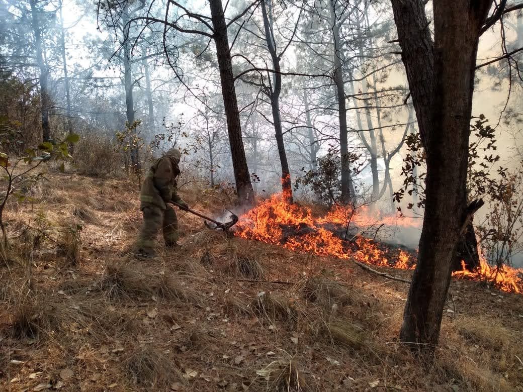 1683223960 775 Hoy es el Dia Internacional del Combatiente Forestal una fecha