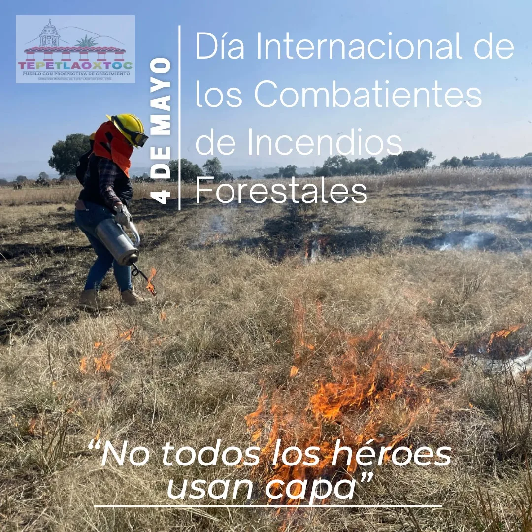 1683224009 Hoy es el Dia Internacional del Combatiente Forestal una fecha jpg