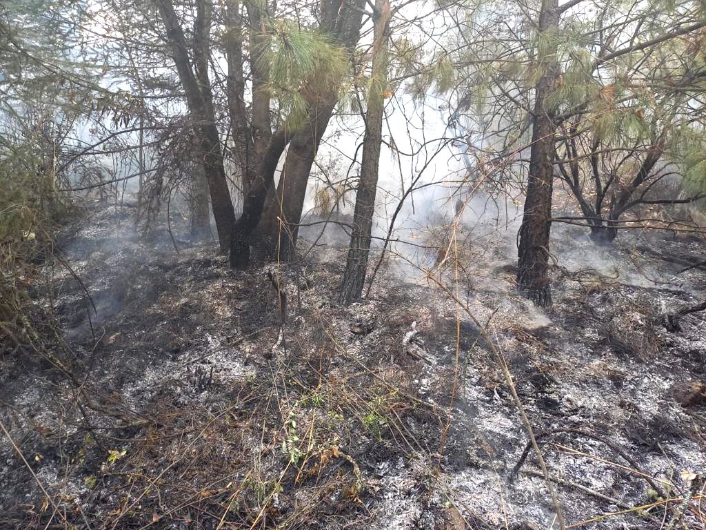 1683232697 866 04 de mayo Dia del Combatiente Forestal