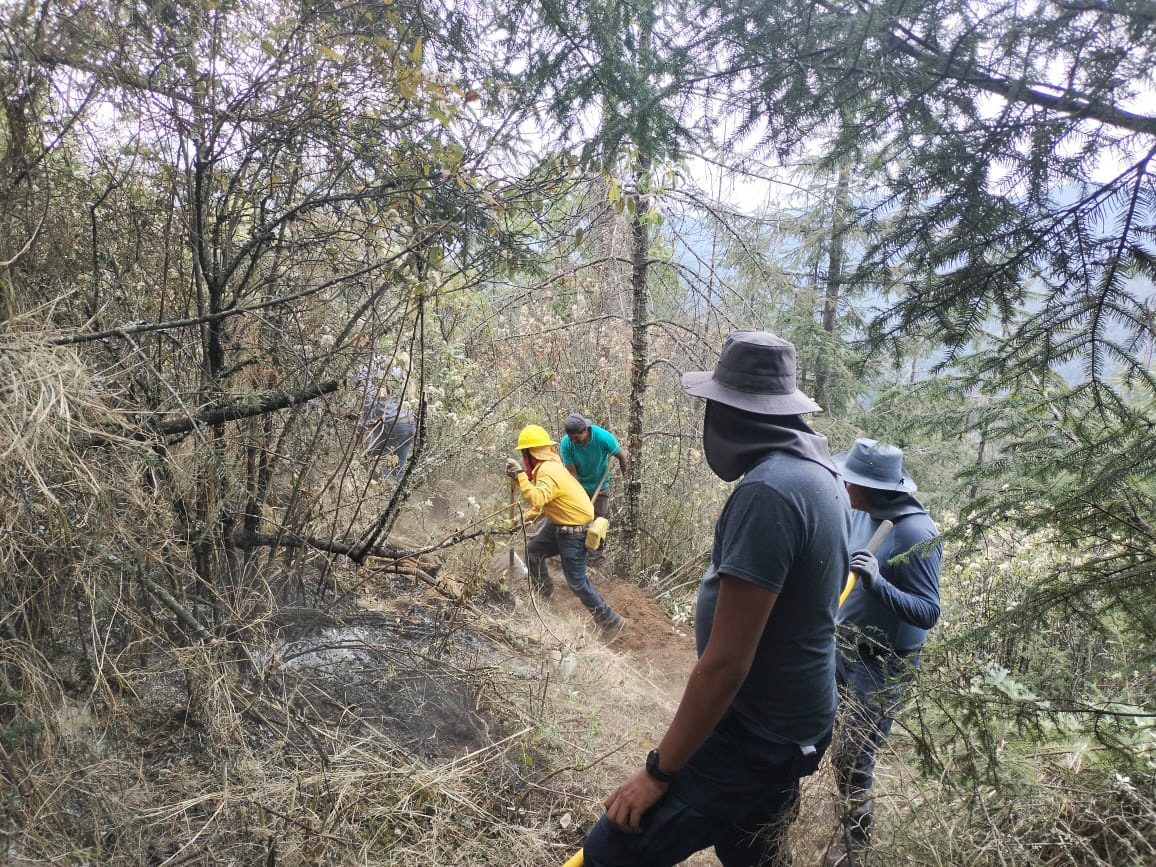 1683232702 772 04 de mayo Dia del Combatiente Forestal