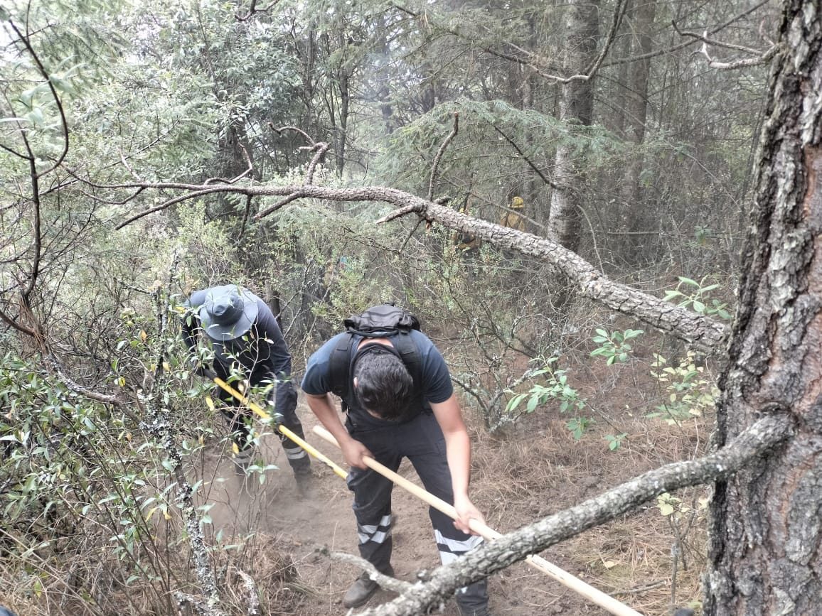 1683232713 876 04 de mayo Dia del Combatiente Forestal