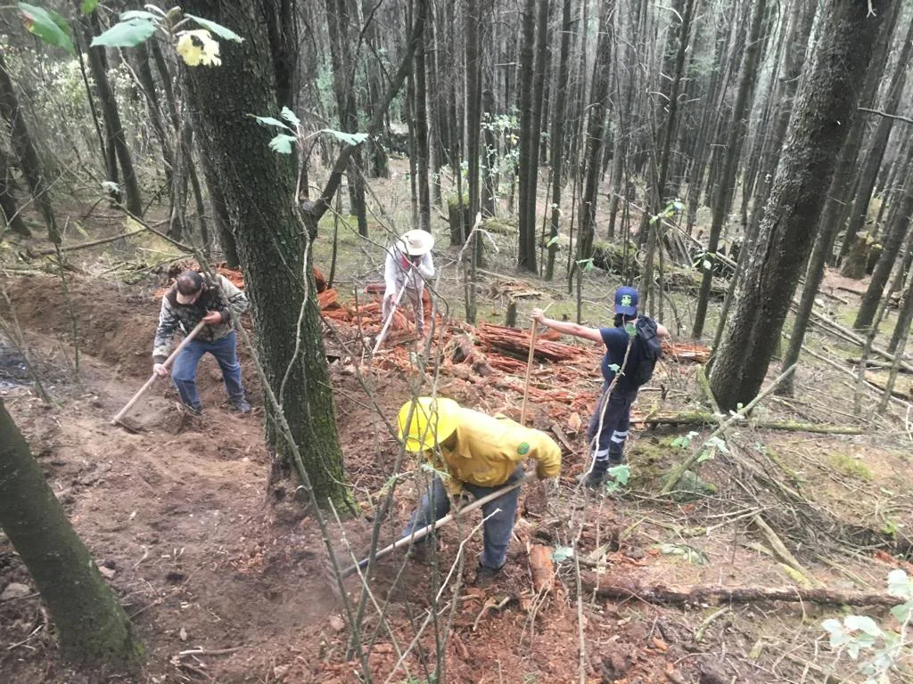 1683232761 04 de mayo Dia del Combatiente Forestal jpg