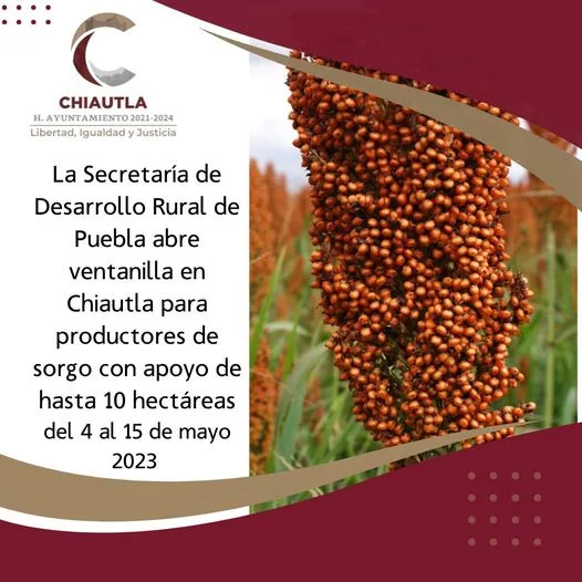 1683237464 Atencion productores La Secretaria de Desarrollo Rural Puebla abrio ventanilla jpg