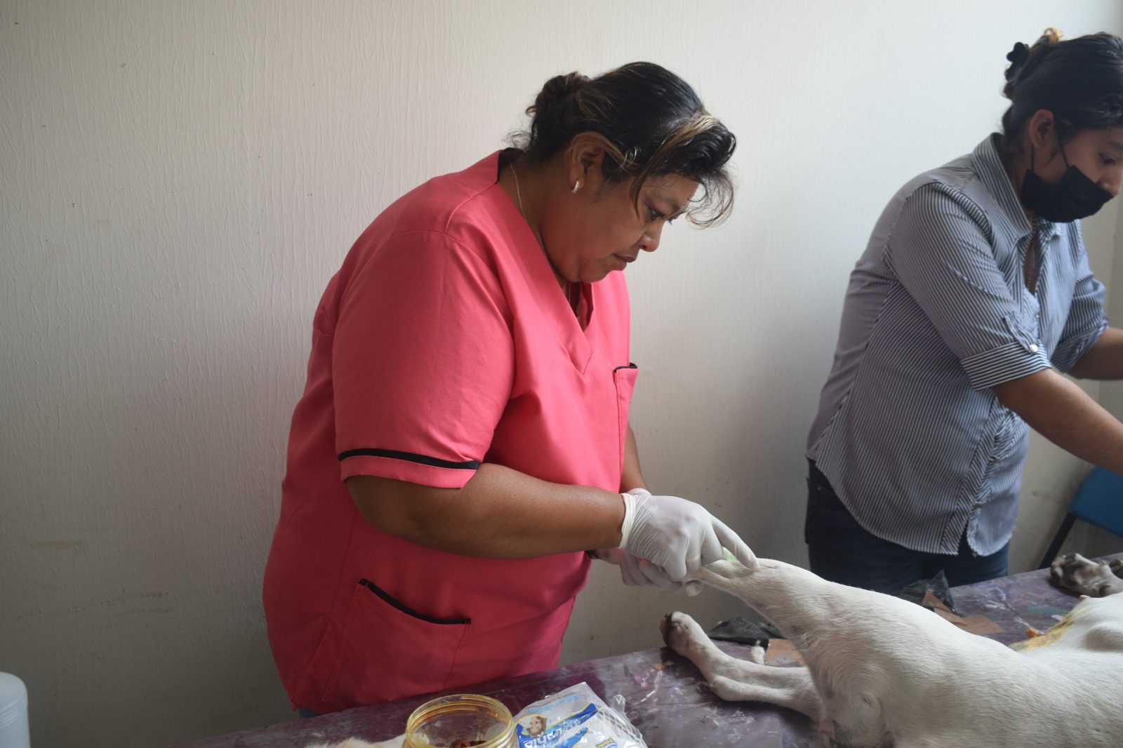 1683243208 317 Las campanas de esterilizacion tienen un objetivo muy importante contribuyen