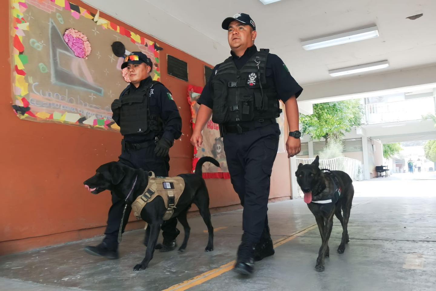 1683244640 672 A traves de la Unidad Canina trabajamos en la seguridad