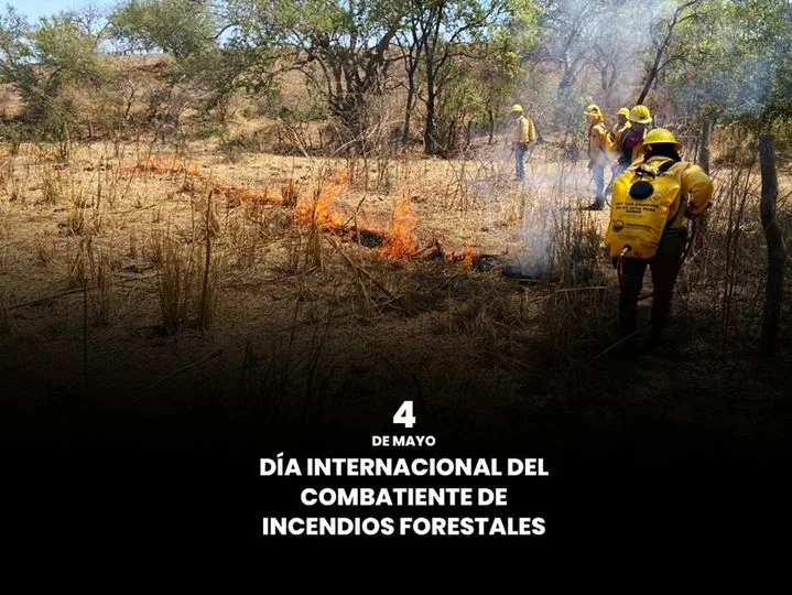 1683294463 04 de abril Dia Internacional del Combatiente de Incendios Forestales jpg