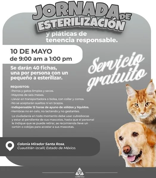 1683408284 Te esperamos en la Jornada de Esterilizacion Canina y Felina jpg