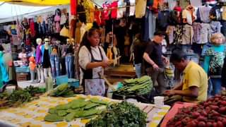 1683556541 Domingo de Tianguis en nuestro TenangoDelValle