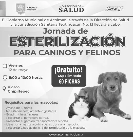 1683584924 La salud de tus mascotas tambien es importante Manten completo jpg