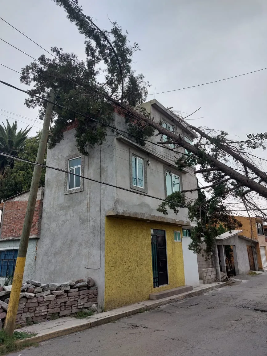 1683636138 Trabajo conjunto de la Coordinacion de Proteccion Civil y Bomberos jpg