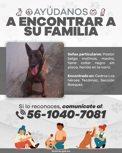 1683636525 Servicio a la comunidad ayudanos a encontrar a la familia jpg