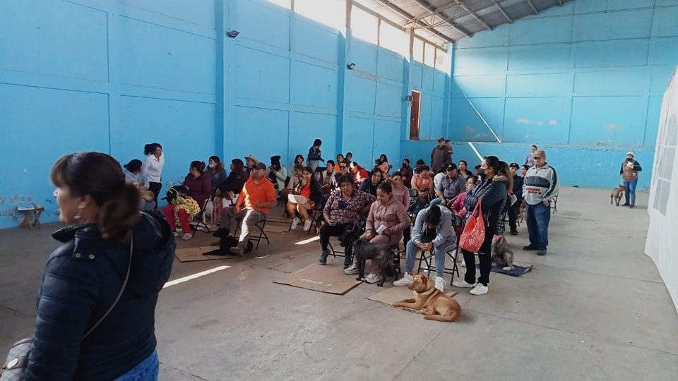 1683651320 229 Jornada de Esterilizacion Canina y Felina en la comunidad de