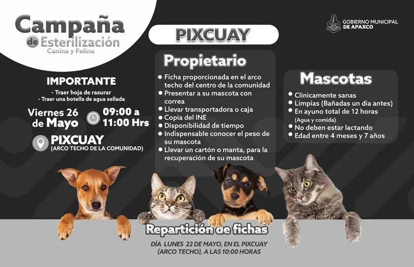 1683660942 EN PIXCUAY ESTERILIZACION GRATUITA CANINA Y FELINA jpg