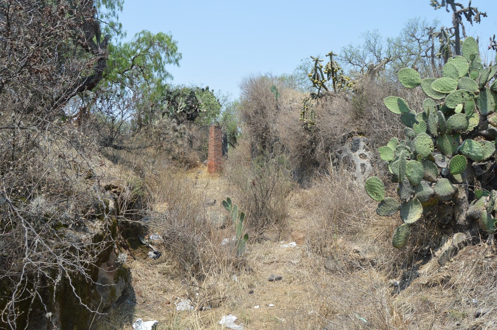 1683662557 74 Poblado Alvaro Obregon ubicado en el Municipio de Temascalapa que