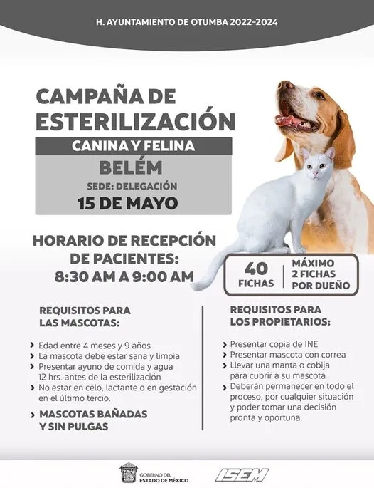 1683673302 Jornada de Esterilizacion Canina y Felina este proximo 15 de jpg