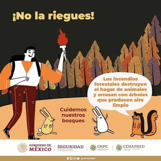 1683722014 EVITEMOS LA QUEMA DE PASTIZALES QUE PUEDEN PROPICIAR INCENDIOS FORESTALES jpg