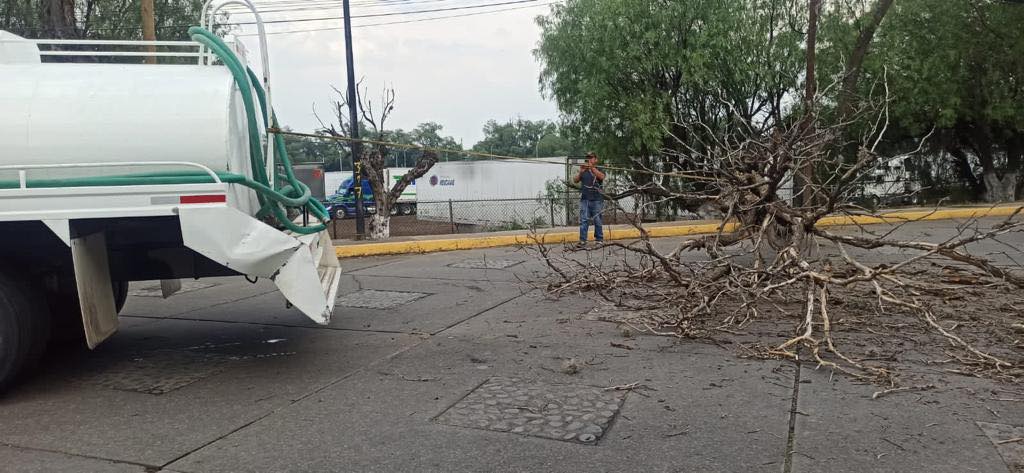 1683762627 166 El arbol que cayo sobre avenida del trabajo ya fue