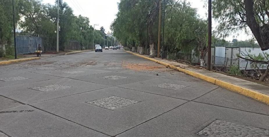 1683762633 739 El arbol que cayo sobre avenida del trabajo ya fue