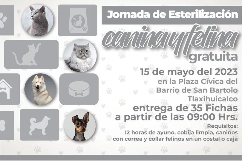 1683824376 Jornada de esterilizacion canina y felina jpg