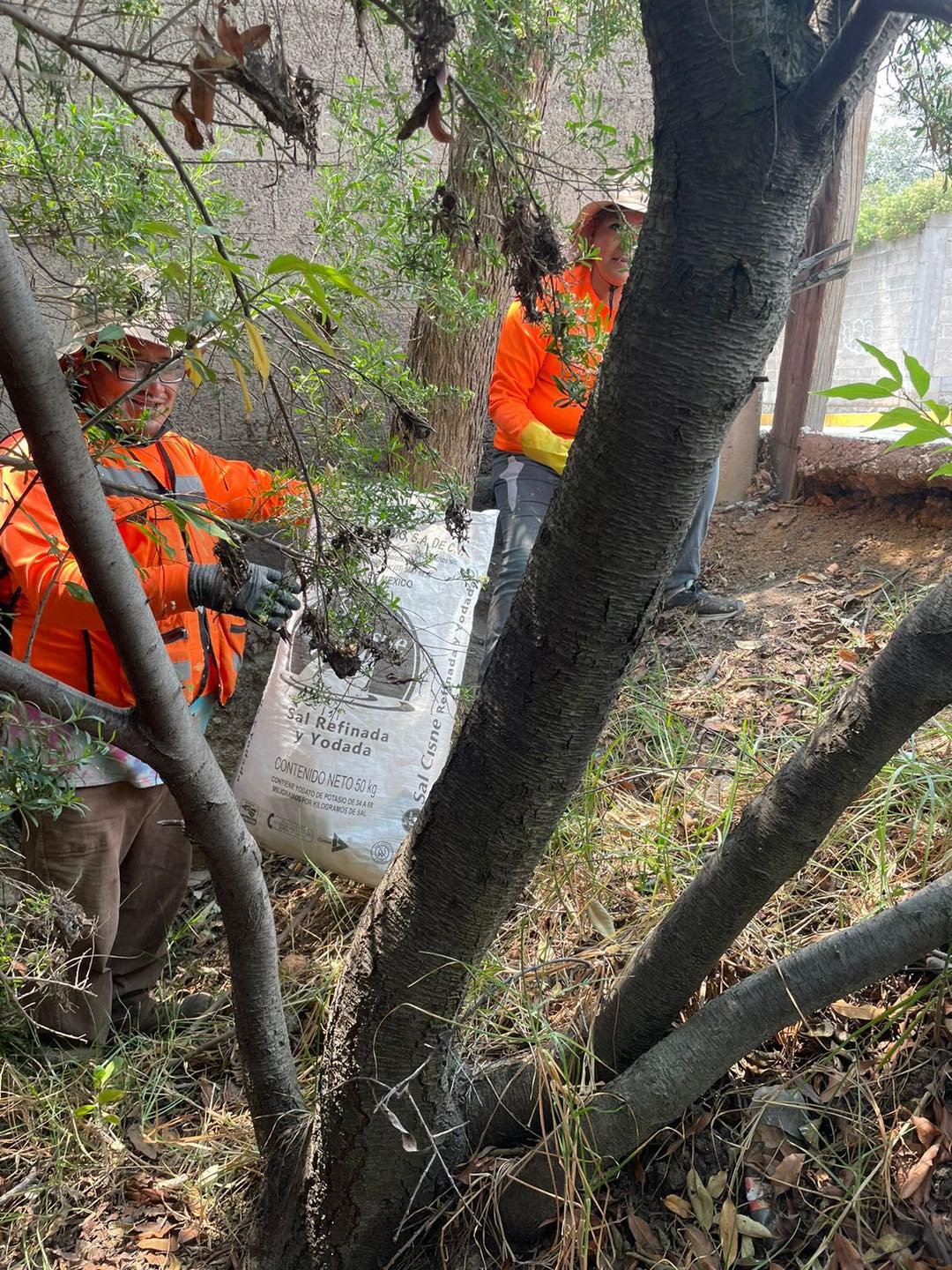 1683834799 313 El cuidado del medio ambiente es tarea de todos y