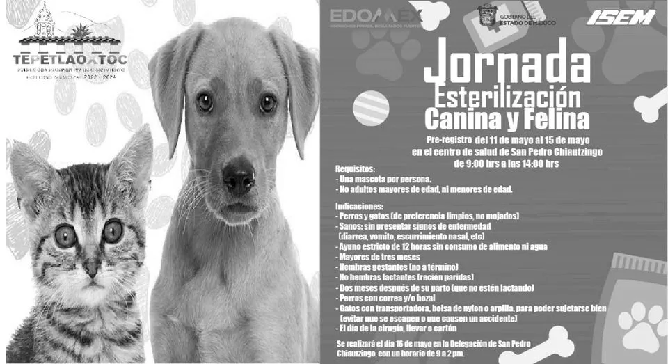 1683925544 Jornada de esterilizacion canina y felina jpg