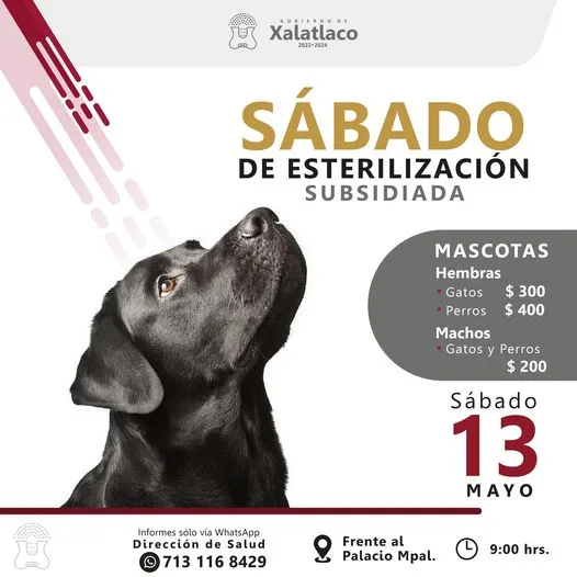 1683986799 RECORDATORIO manana sabado toca esterilizacion subsidiada ULTIMOS SABADOS jpg