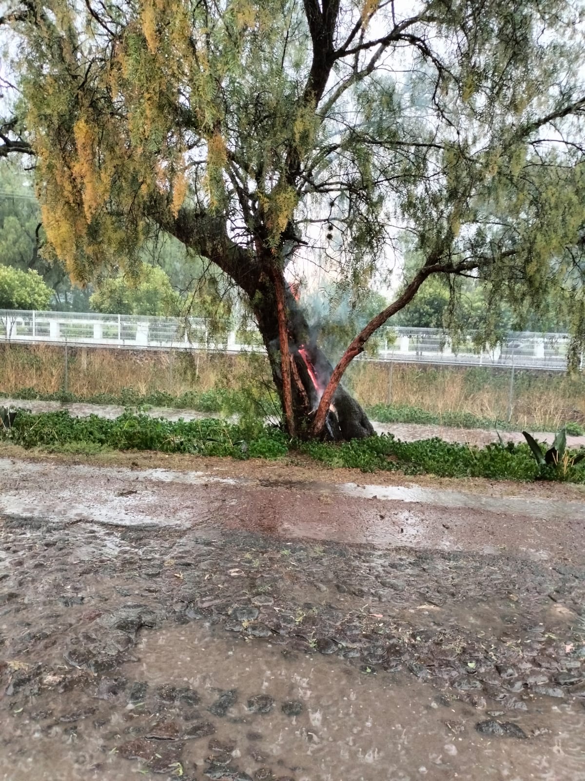 1684069585 223 A pesar de la pertinaz lluvia que se presento esta