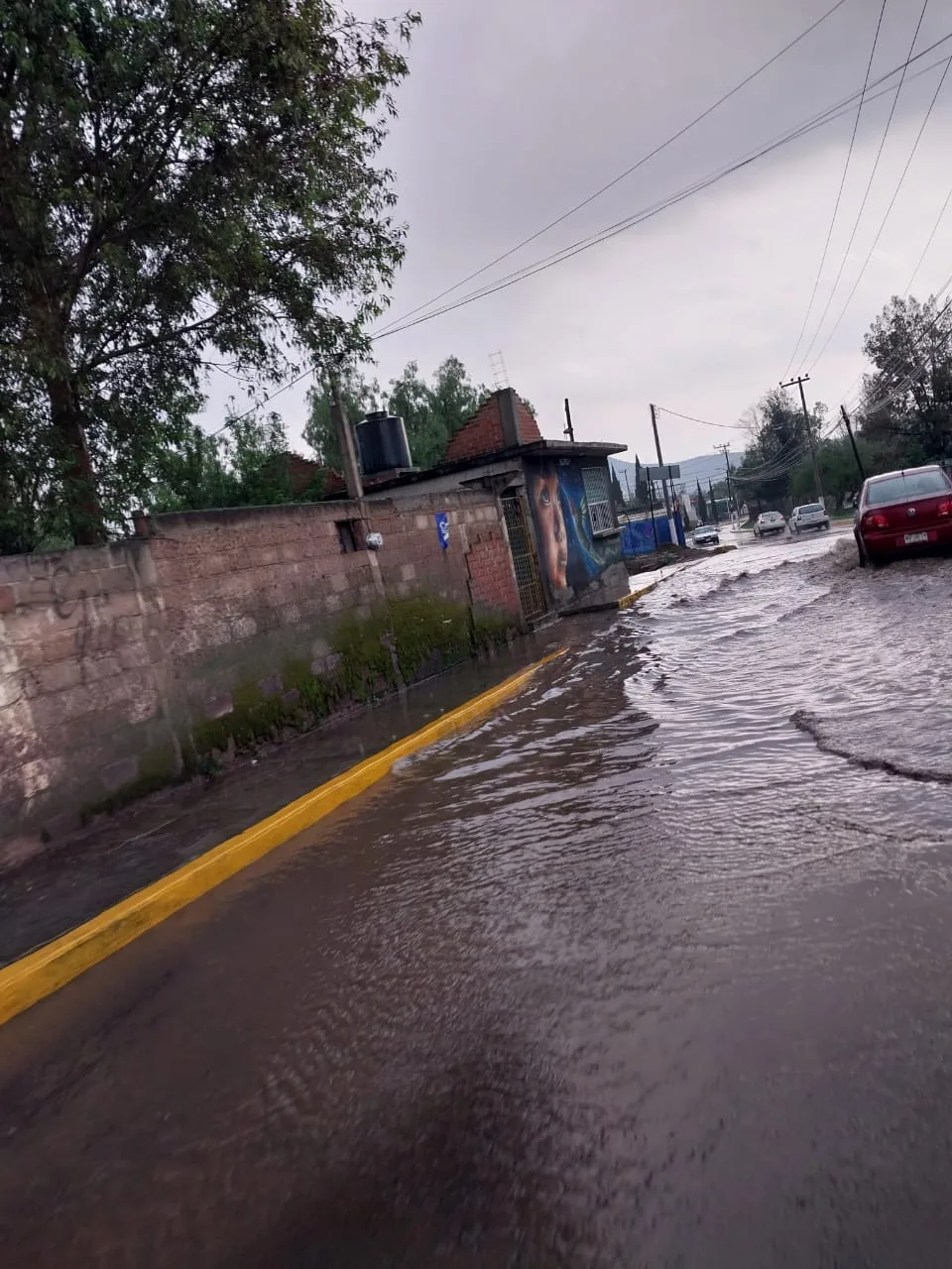 1684069632 A pesar de la pertinaz lluvia que se presento esta jpg