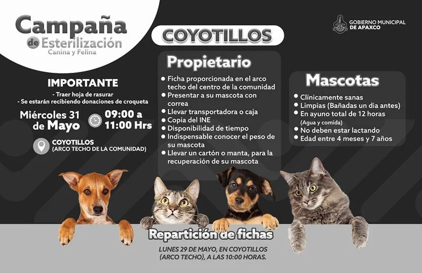 1684173343 EN COYOTILLOS ESTERILIZACION GRATUITA CANINA Y FELINA jpg