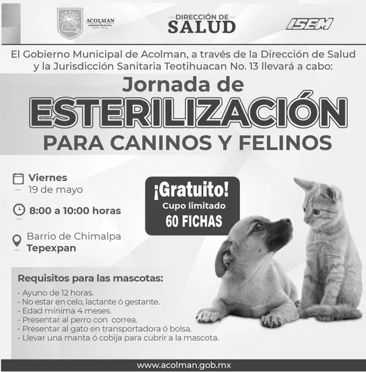 1684184740 Proxima Jornada de esterilizacion Nuestras mascotas tambien necesitan ser ate jpg