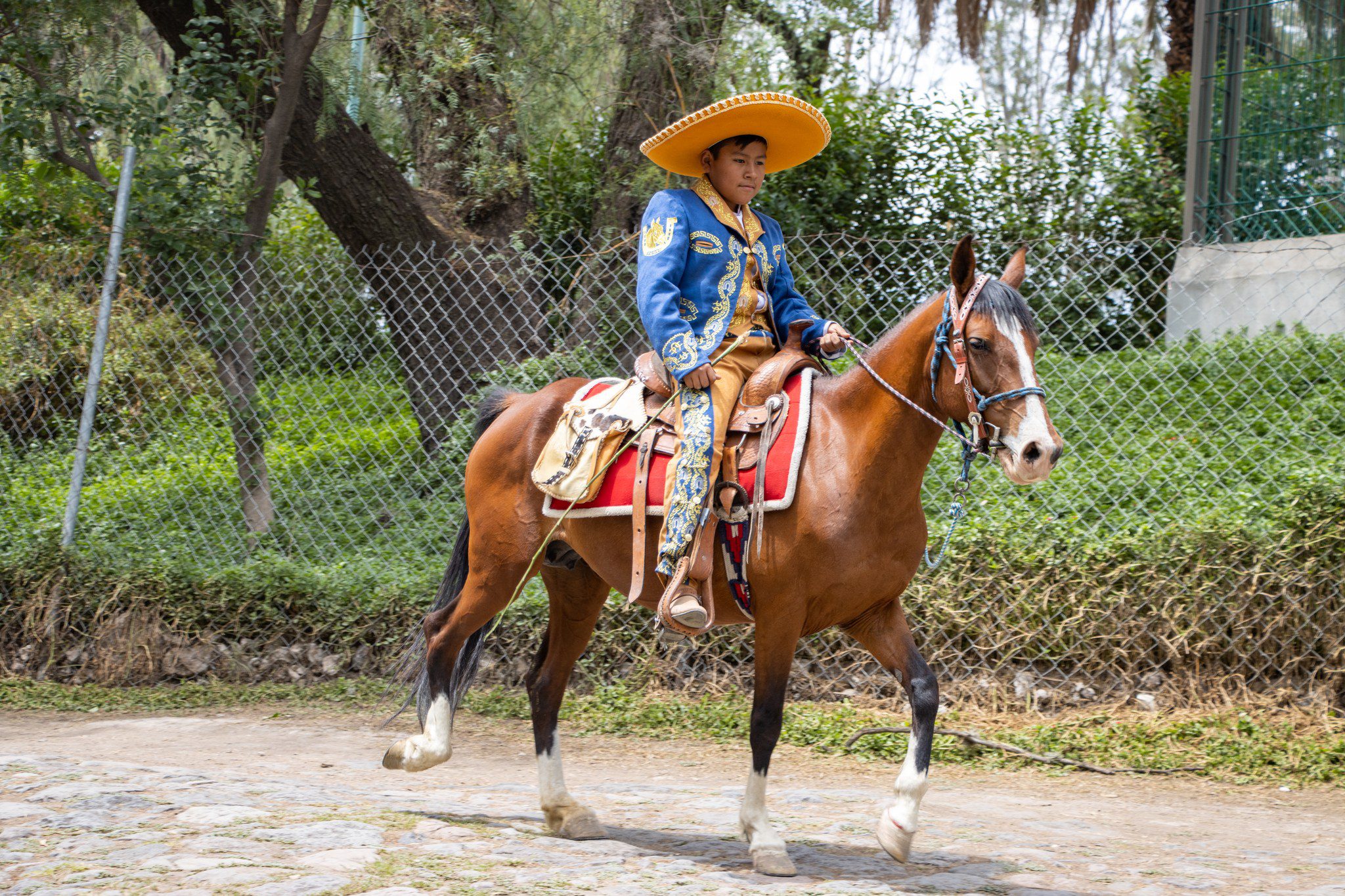 1684238544 749 Atenco es un municipio con tradicion cultural y agricultura el