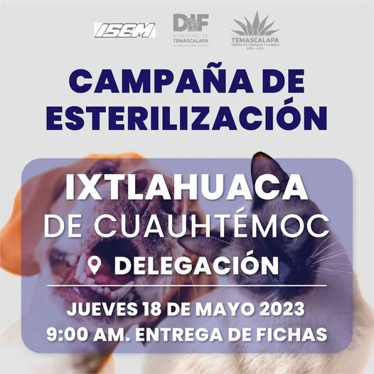 1684262327 Las campanas de esterilizacion generan un alto impacto en la jpg