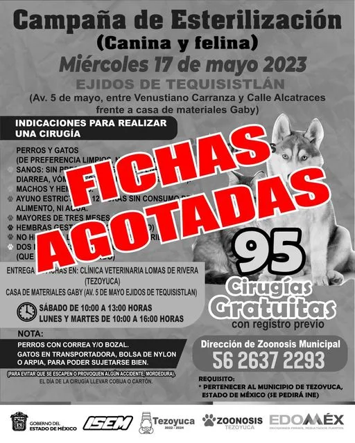 1684269281 Campana de esterilizacion canina y felina en Ejidos de Tequisistlan jpg