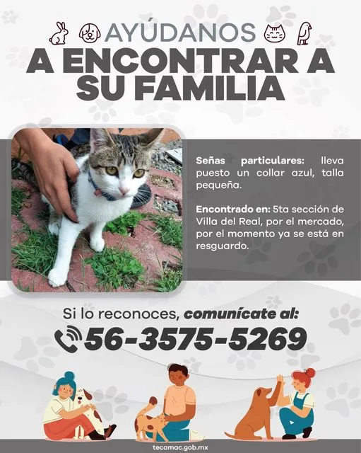 1684280082 Servicio a la comunidad ayudanos a encontrar a la familia jpg