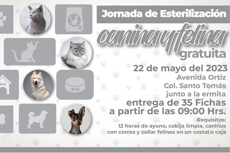 1684351958 Jornada de esterilizacion canina y felina jpg