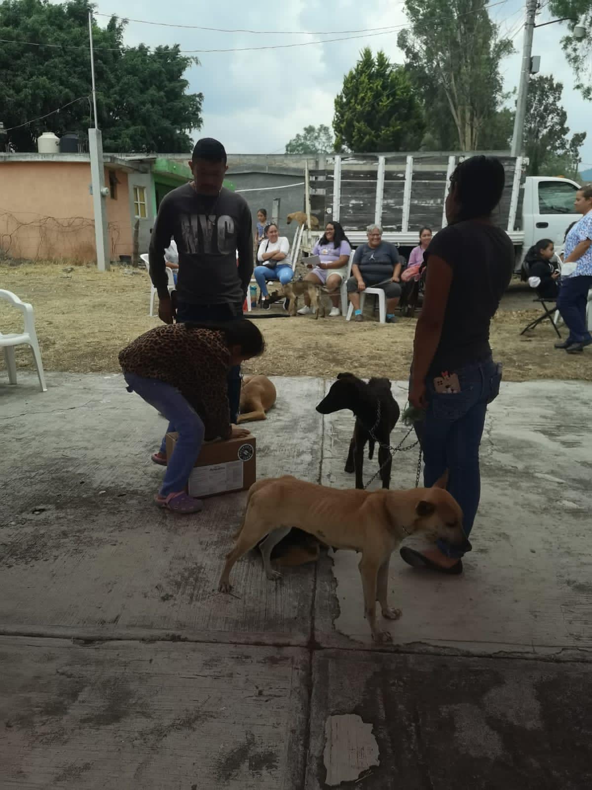 1684361541 768 ¡Una jornada de esterilizacion mas