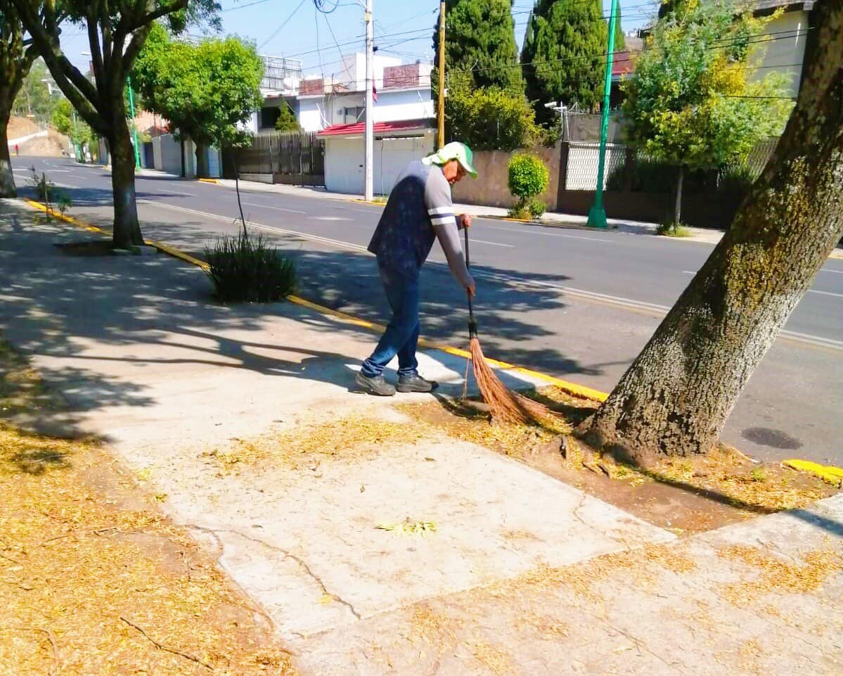 1684438406 216 En Toluca fortalecemos el mantenimiento a nuestros parques Nos encontramos