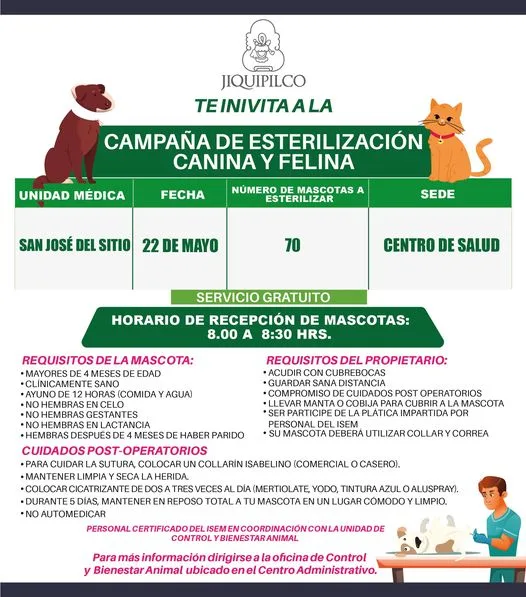 1684439985 Esteriliza a tu mascota y se un dueno responsable jpg