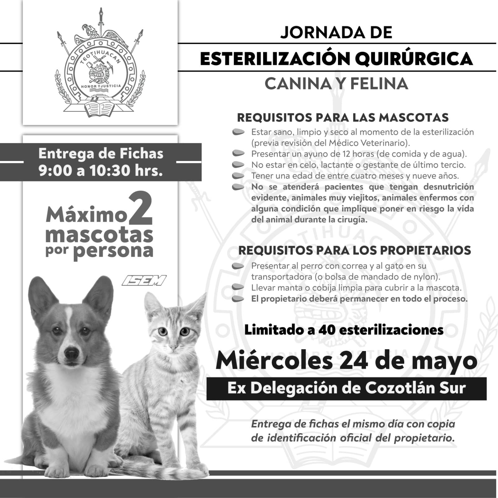 1684503558 674 Jornadas de esterilizacion gratuita