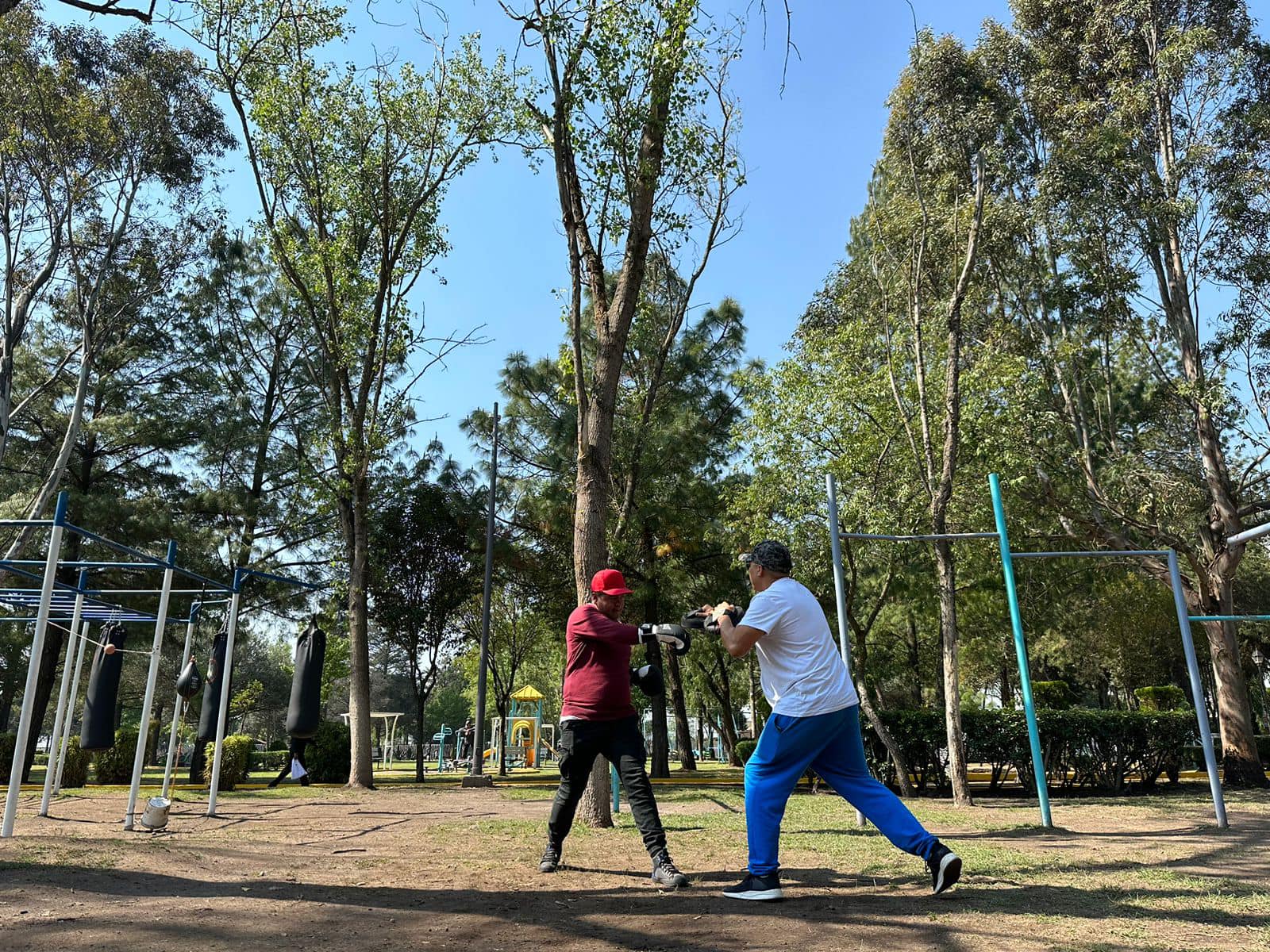 1684598921 912 ¿TE GUSTARIA ENTRENAR BOX Pegale un KO al sedentarismo y