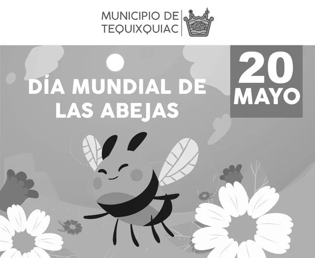 1684601153 El 20 de mayo se celebra el DiaMundialDeLasAbejas para crear jpg