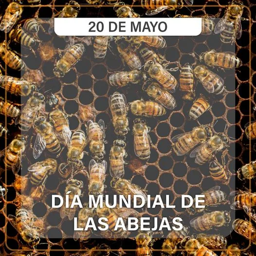 1684603252 Las abejas que estan entre las criaturas mas laboriosas jpg