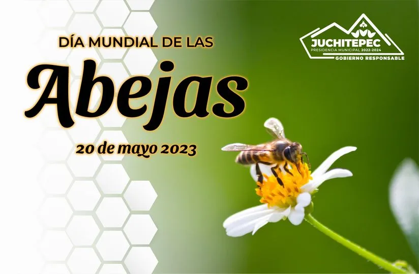 1684603670 DiaMundialDeLasAbejas Hoy 20 de Mayo dedicamos el dia a jpg